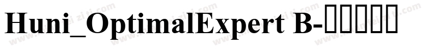 Huni_OptimalExpert B字体转换